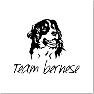 Bernese mountain dog Posters and Art